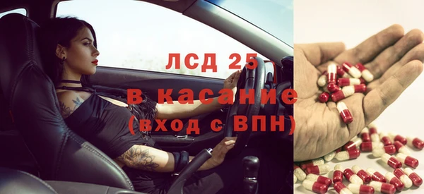 шишки Бородино