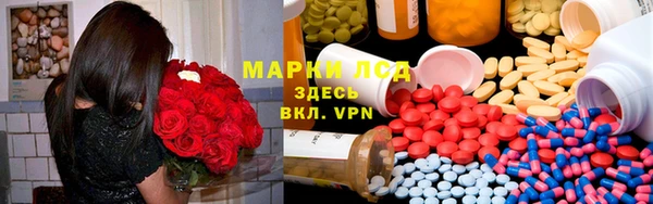сатива Богородицк