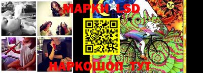 гашик Будённовск