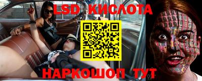 гашик Будённовск