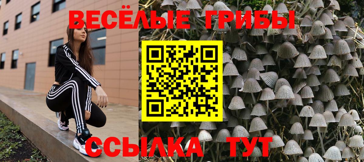 Псилоцибиновые грибы мухоморы  Вход с VPN  Воскресенск  Галлюциногенные грибы MAGIC MUSHROOMS 